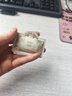 润培roopy香氛护手霜夏季专用保湿清爽植萃生日礼物 云栖松苔75g 实拍图