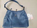2025新款潮流软皮女士单肩包大容量休闲百搭中年妈妈手提斜挎包包 蓝色 实拍图