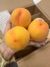 春福乐 山东蒙阴黄桃【多地次日达】新鲜水果金桃子脆蜜毛油送礼品物盒 【7A金奖级】单果90g+ 净4.5-5斤装【老树果-80%选择】 实拍图