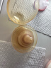世喜乳盾新生儿奶盾大乳头保护罩乳贴喂奶吸奶辅助奶嘴双层矫正器 实拍图