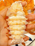 鲜喜利舟山琵琶虾新鲜九齿扇虾海鲜虾姑特大濑尿虾生鲜水产鲜活冷冻爬虾 2000g(净重)  14-18cm 【4-5只/斤】 实拍图
