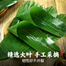 鲜窝窝 超大号粽叶100片 野生粽子叶宽粽叶新鲜箬叶端午节包粽子材料 实拍图