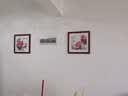 紫腾随轩新中式牡丹花开富贵装饰画客厅餐厅背景墙画卧室床头挂画壁画 图21 50*50cm（有机玻璃） 实拍图
