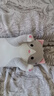 伊美娃娃猫咪抱枕公仔毛绒玩具女孩陪睡长条布娃娃玩偶睡觉夹腿抱枕女生 灰色【店长推荐：送女神选这款】 90cm 实拍图