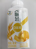 伊利【李现推荐】畅轻低温酸奶 0添加 燕麦黄桃250g*4 风味发酵酸牛奶 实拍图