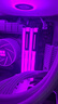 阿斯加特（Asgard）32GB(16GBx2) DDR4 4000 台式机内存条 女武神·瓦尔基里 RGB灯条 海力士CJR CL19 极地白 实拍图