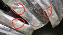 FitonTon7双装袜子女夏季船袜短袜硅胶防滑7A抑菌纯棉袜子冰丝网眼隐形袜 实拍图
