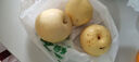 京喜加赵州皇冠梨河北皇冠梨产地直发 带箱4斤小花皮（单果200g+）（净重3.5斤） 实拍图