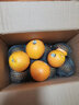 囍成双美国新奇士橙黑标3107脐橙大果sunkist进口橙子美橙水果整箱送礼 精品5斤【礼盒装】 实拍图
