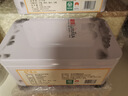 麓雨2025新茶上市金坛雀舌明前特级嫩芽春茶常州特产绿茶翠竹翠芽茶叶 实拍图