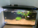 小米米家智能鱼缸客厅小型造景生态家用背景超白玻璃桌面循环自动喂食 小米智能鱼缸+50W加热棒 实拍图