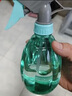 喷壶浇花浇水喷雾器气压式喷水壶家用园艺养花500ml 南瓜喷壶透粉【1个装】 实拍图
