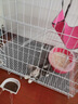憨憨宠猫笼折叠猫笼子大号猫别墅加粗加密双层猫舍猫窝宠物猫咪用品家用 白色 850双层 实拍图