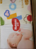 好奇（Huggies）金装纸尿裤M88片(6-11kg)中号婴儿尿不湿超薄云感裤透气大吸力 实拍图