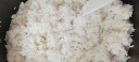 喆祥好太太蒸饭柜商用蒸饭车移动蒸煮一体箱食堂蒸柜饭堂智能饭店蒸饭机小型家用燃气蒸炉液化气煤气蒸包炉 电用标准款大4盘约70人用 实拍图