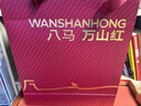万山红红茶组合 金骏眉正山小种礼盒装192g茶叶中秋节送礼 生日礼物 实拍图