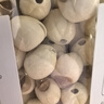 方家铺子大粒手剥去芯 七星严选建宁莲子400g 粉糯白莲桂圆莲子百合银耳羹 实拍图