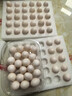 均鲜新鲜土鸽子蛋杂粮喂养农家特产白鸽蛋信鸽蛋孕妇宝宝年货节礼盒装 60枚1220g左右精选鲜鸽蛋 实拍图