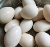百世富泽（BAISHIFUZE）【百世富泽】黄河滩大鹅蛋新鲜正宗土鹅蛋农家自养孕妇超大鹅蛋 12枚115-130克 实拍图