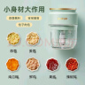 伯可福（bokuk）打蒜泥捣碎器捣蒜器电动绞肉机家用打蒜器绞蒜料理机蒜头辣椒搅蒜器小型蒜蓉机辅食机搅碎器碎肉机 松石绿 0.3L 实拍图