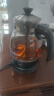 金灶（KAMJOVE） 养生壶煮茶器喷淋式煮茶炉白茶壶黑茶壶办公室家用蒸汽煮茶壶1L 黑色 实拍图