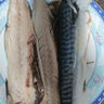 鲜活大桂鱼600-700g/条 实拍图