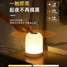 京黔充电小夜灯婴儿喂奶卧室床头灯氛围夜灯触摸伴睡灯拍拍灯卧室台灯 实拍图