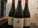 帕斯蒙火烈鸟 西拉Syrah干红葡萄酒单支750ml 智利原瓶原装进口红酒一瓶 实拍图