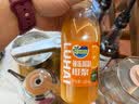 维霆橙c美式瑞幸咖啡鲁海HPP速冻橙浆560g冰茶橙汁浓缩果汁气泡水饮料 鲁海速冻橙浆560g 实拍图