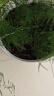 漫生活30L营养土赠4肥植物花土种菜养花土园艺盆栽种植土泥炭土多肉土 实拍图