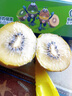 佳沛（zespri）新西兰  阳光金奇异果10粒礼盒巨大果单果约144-175g 水果 猕猴桃 实拍图