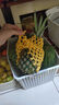 广东香水菠萝新鲜水果菠萝凤梨整箱包邮单果500g起 【实惠】2粒装 带箱3斤净重2.6-2.8斤 实拍图