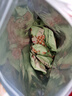 京东京造 芥末夏威夷果仁400g 非油炸每日坚果休闲零食夏威夷果干果 实拍图