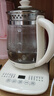 九阳（Joyoung）0胶水养生壶 1.5L煮茶器 玻璃花茶壶 316不锈钢烧水壶电热水壶 WY301 实拍图
