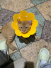 欢宠网伊丽莎白圈猫宠物狗猫咪狗狗绝育软项圈头套脖套防舔防咬脖圈耻辱 实拍图