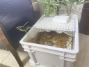 德沃多肥料果树营养土4.5kg专用土柠檬树蓝莓草莓泥土肥料专用肥种植土 实拍图