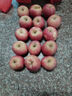 【已售万单】 源头果园冰糖心苹果 红富士苹果 新鲜脆甜水果 约9-12枚 果重160g起丨净4.5斤 实拍图