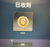 【自动发货】PUBG G币绝地求生G币Gcoin皮肤CDK激活码充值点券steam吃鸡 100G币 实拍图