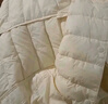 雪中飞羽绒内胆女轻薄羽绒服女短款新款冬季内搭修身时尚羽绒服外 米白 XL (170) 实拍图