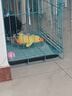 欢宠网宠物狗玩具狗狗自己玩解闷自嗨耐咬磨牙发声小狗幼犬遛狗逗狗神器 实拍图