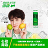 可口可乐（Coca-Cola）檀健次代言 雪碧Sprite零卡无糖饮料330ml*24瓶 新老包装随机发货 实拍图