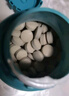 卫仕 狗狗关节呵护补钙套装乳钙约480片+关节舒约480片强壮骨骼关节 实拍图