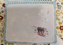 迪士尼 儿童水画本绘画涂色本女孩3-6玩具冰雪奇缘爱莎公主涂水画册涂鸦本5本女孩生日玩具礼物六一儿童节礼物 实拍图
