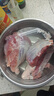 顺丰】原切纯牛腱子肉黄牛肉新鲜生牛肉不调理散养黄牛腱子肉 原切牛腱子【5斤】 实拍图