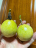 京地达正宗钦蜜9号黄金百香果5斤单果45-55g现摘香甜新鲜水果源头包邮 实拍图
