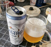 青岛啤酒（TsingTao）全麦白啤原麦汁浓度11°P整箱装 330ml*24听 实拍图