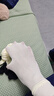 冰冰袜夏季超薄透气隐形防勾丝低帮浅口女袜纯色短袜薄款棉袜冰丝 混合（十种颜色黑白奶偏多）5双 实拍图