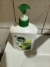 滴露（Dettol）洗手液松木500g瓶 健康抑菌消毒非补充装 儿童家庭用清爽去油 实拍图