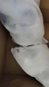 京东自营洗鞋服务运动鞋任洗2双上门取送价值2000元内小白鞋京东洗衣 实拍图