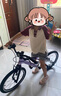 KinderKraft儿童自行车小孩山地单车3-6-10岁61儿童节礼物学生青少年幻影 18寸 梦幻银紫【轻便镁合金】 实拍图